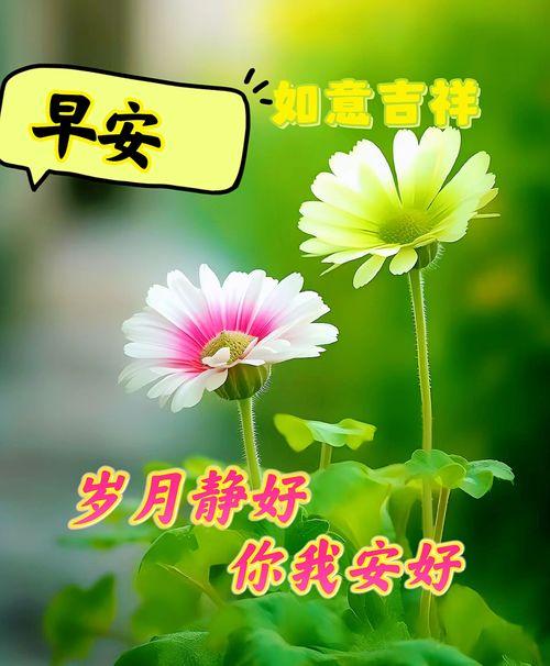 美好的早晨图片,晨曦中的美好画卷